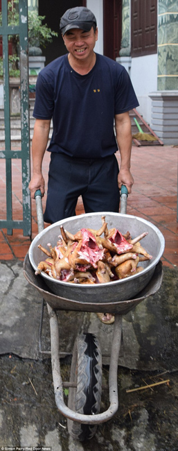 越南貓肉餐廳：將貓淹死、剝皮、切成小塊，再油炸